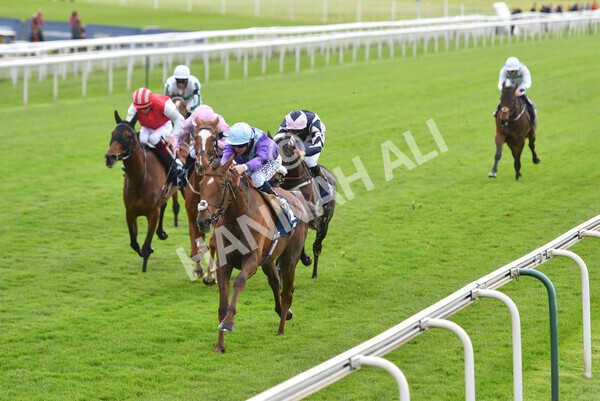 yr22052021r2-25 - Race 2 2.40pm William Hill Brontë Cup
