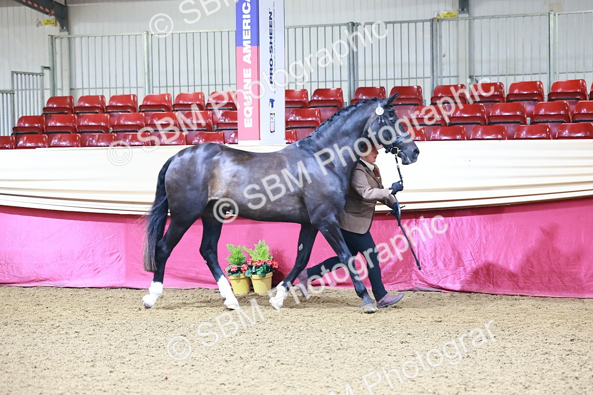 SBM_21660 - Class 901 - Supreme Final - IH  Diamond