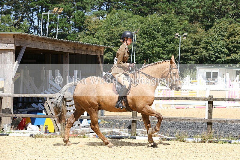 1X9A8805 - Class 19: Riding Club Horse