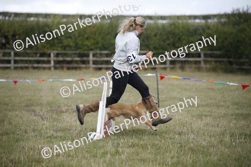 20250831-3861 - Dog Show