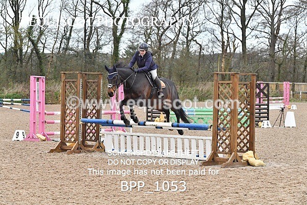 BPP_1053 - CLASS 2 Club/ Unaffiliated 80cms Open