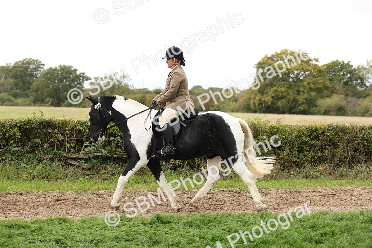 SBM_67264 - S67 - Piebald & Skewbald Horse Ridden