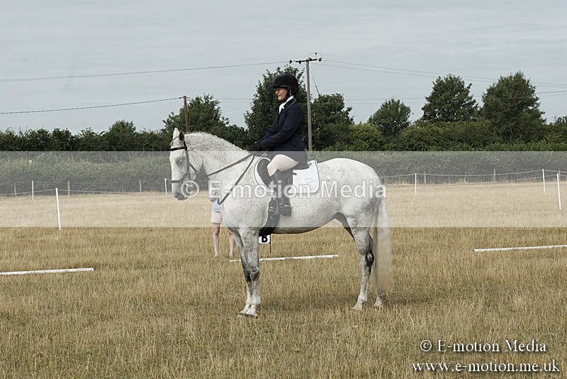 _PJP5661 - Dressage Classes BVRC Show 2018