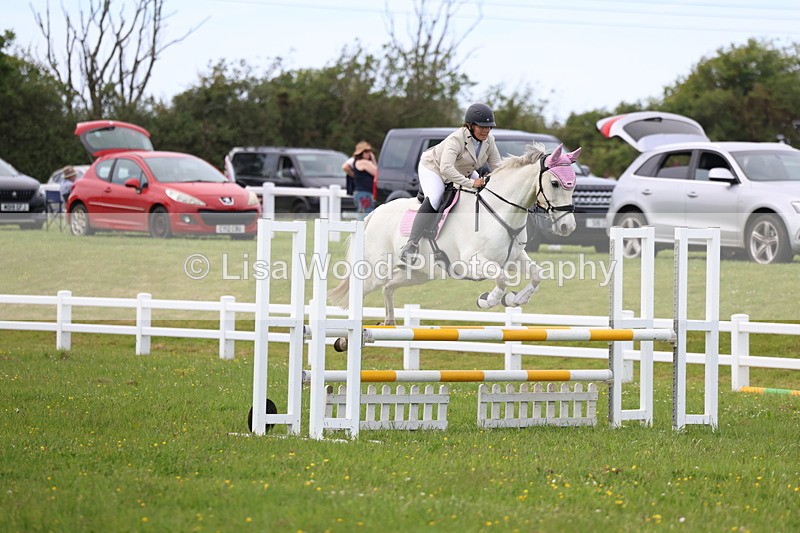3E7A1760 - Class 13: Senior British Novice/90cm open