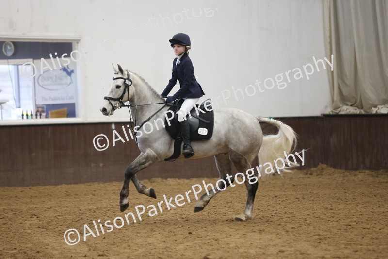 20260314-1256 - 70cm