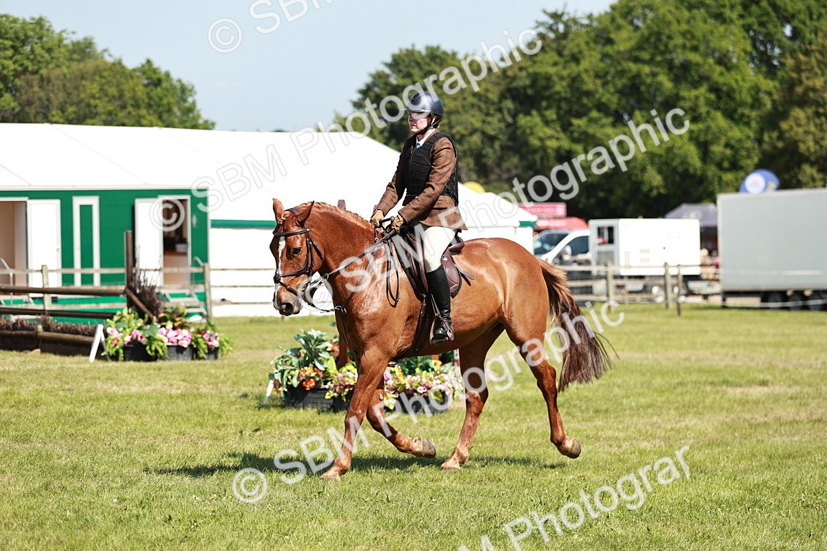 SBM_18338 - Class 112-113 - BSPS LIHS Working Sports Pony
