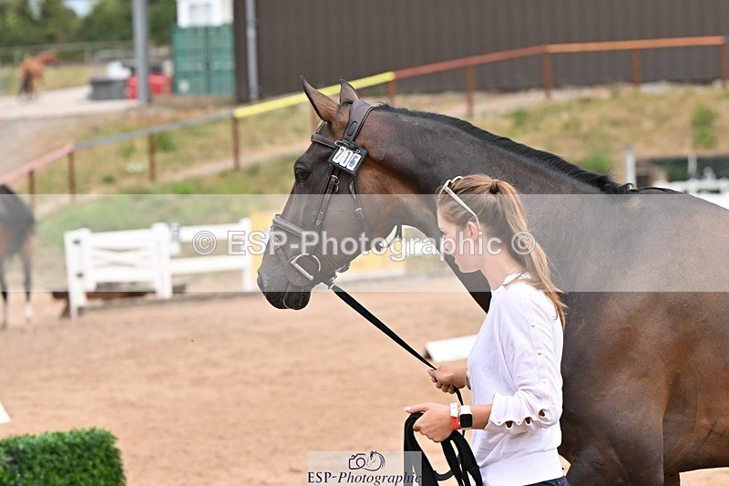 250716-144147-01319 - Trot Up 2.30 to 3.30