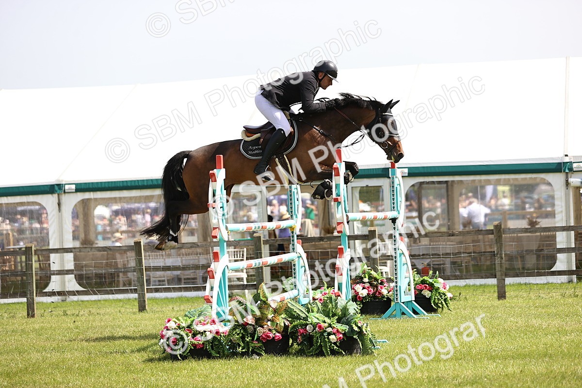 SBM_03269 - Class 201 - British Horse Feedds Speedi Beet HOYS Grade C