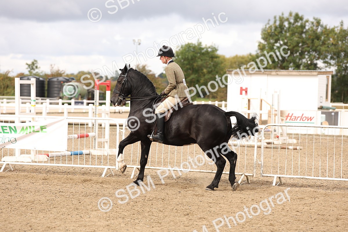 SBM_02836 - Class 53 - Ridden Competition Horse/Pony