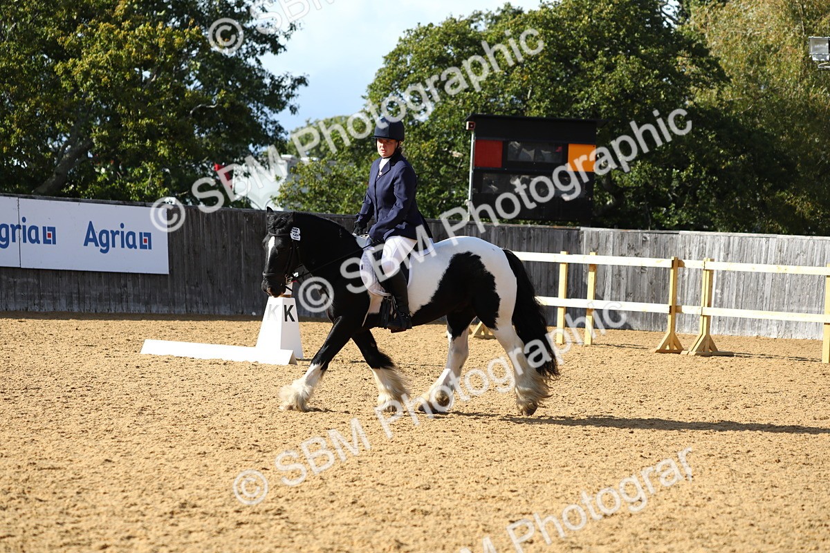SBM_26779 - D11 - Small Tour Championship Prelim 1