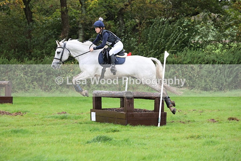 JPP_5445 - Class 4: 80cm: Crossed Logs