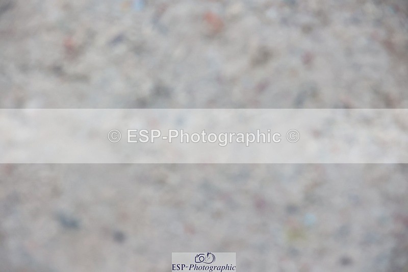 241201X-134809-01555 - Cls 27-28 Winter -Summer