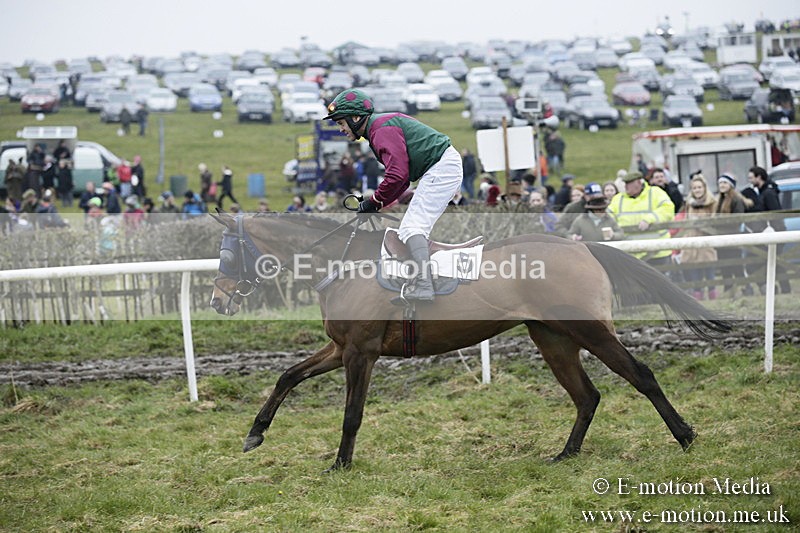 PtP 020418 -11 - Old Berks Point-to-Point Races Easter Monday 02/04/18