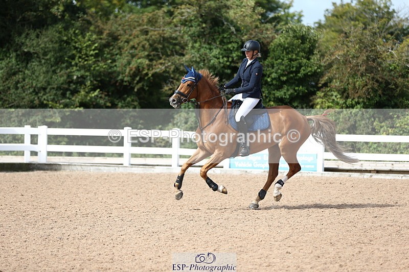 230811A-102000-03483 - Cls 15 85cm Nat Am Qualifier