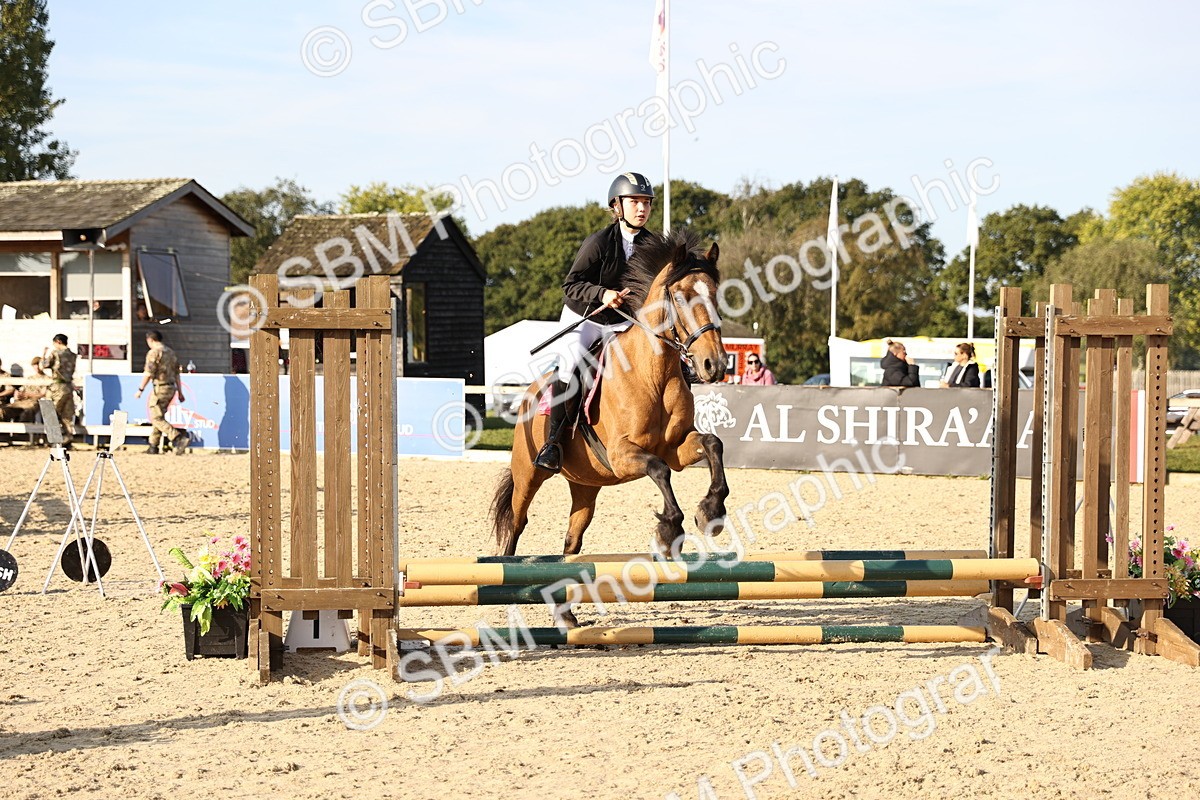 SBM_59591 - J11 - Junior Pony 50cm Championship