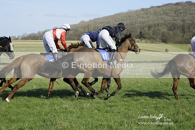 PtP 260222 377 - Kingston Blount Racing Club Point-to-Point 26/02/22