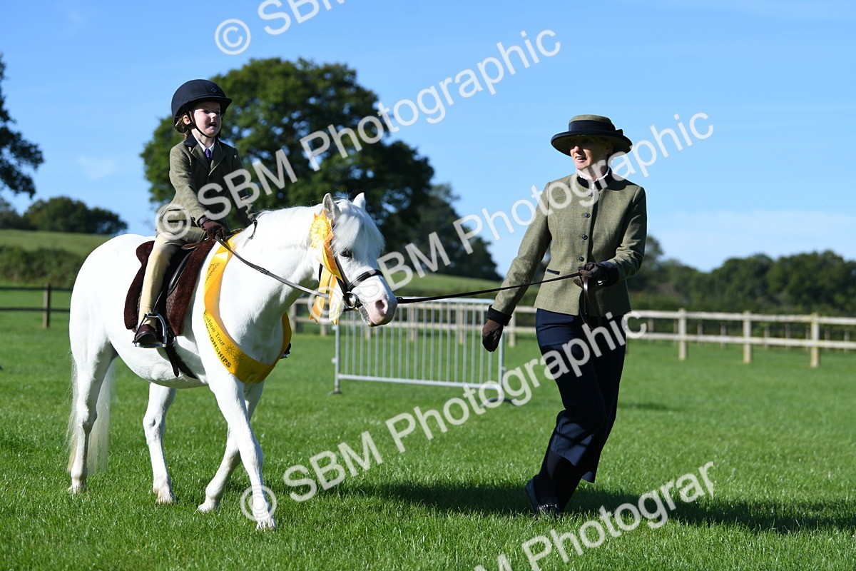 SBM_35507 - S17 - Condition & Turnout - Lead Rein