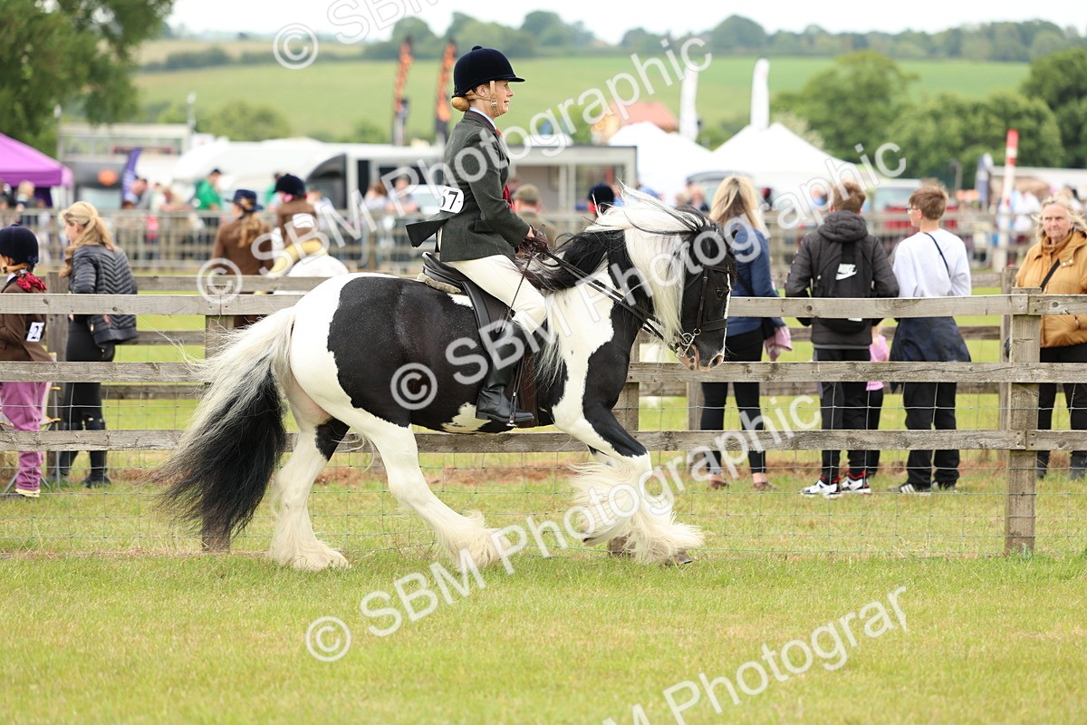 SBM_06266 - Class 39-41 TGCA In Hand and Ridden