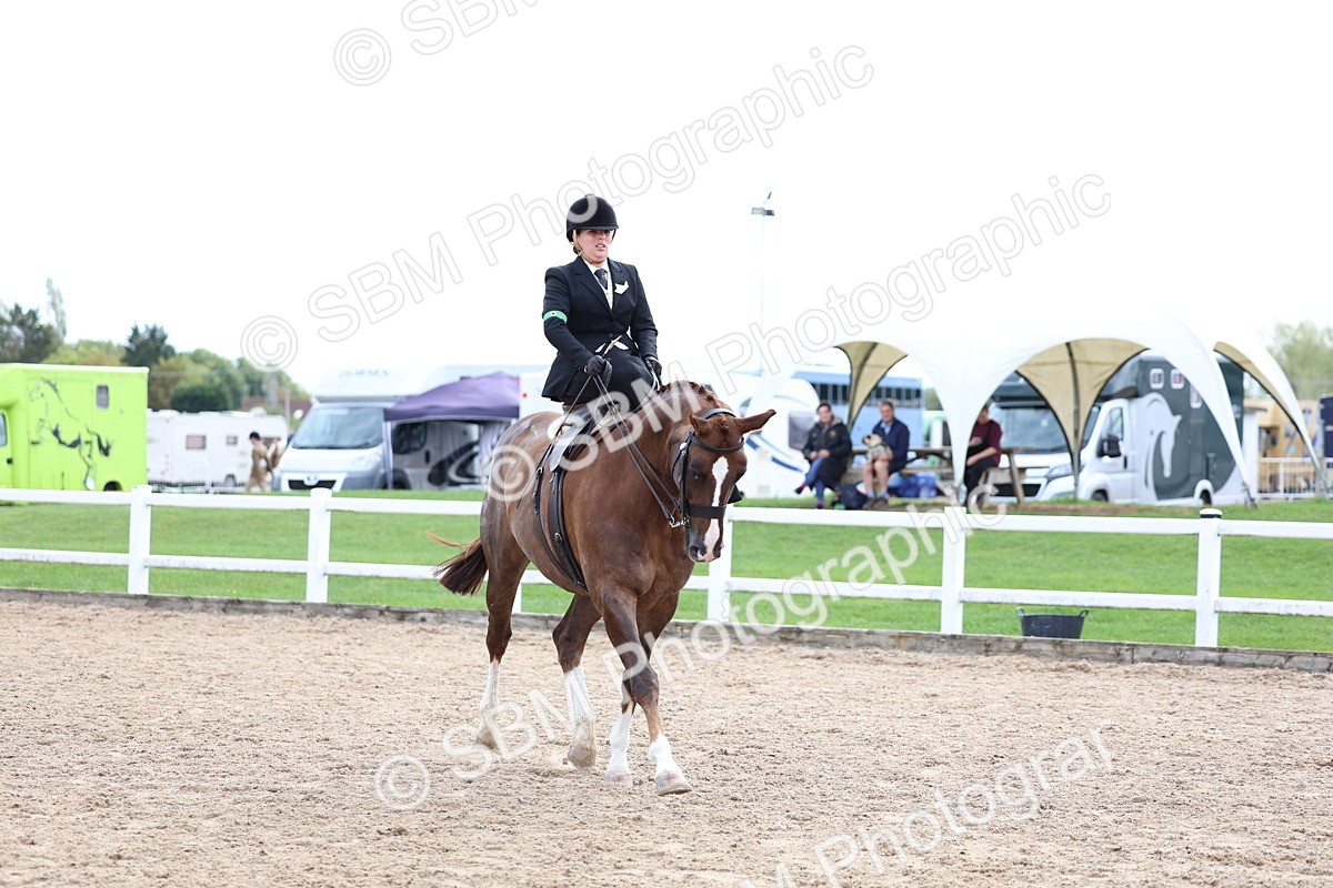 SBM_03439 - Class 24 - SSA Concours d'elegance (any age)