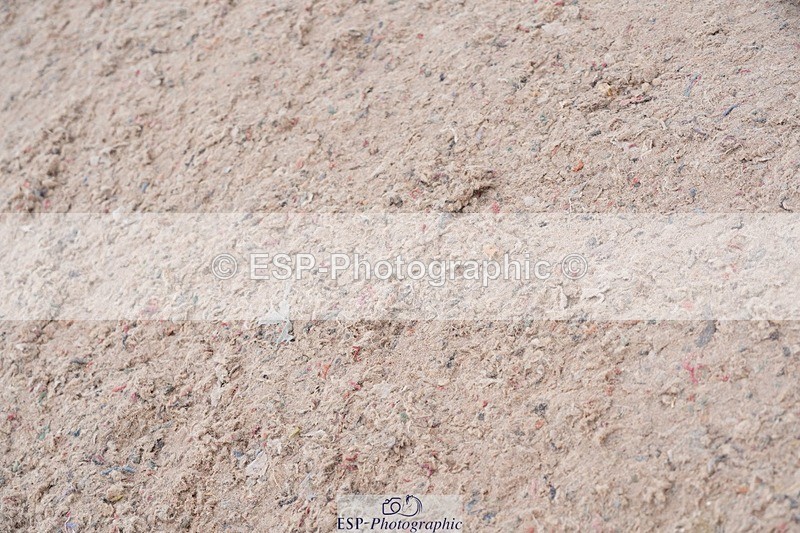 250524-104728-06287 - Cls 20 A&B Snr Brit Nov & 90 Open