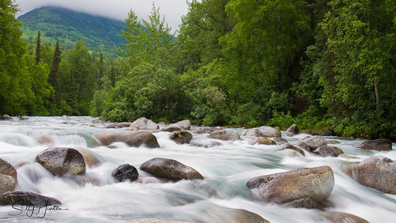 Alaskan Mountain Stream in Summer 2