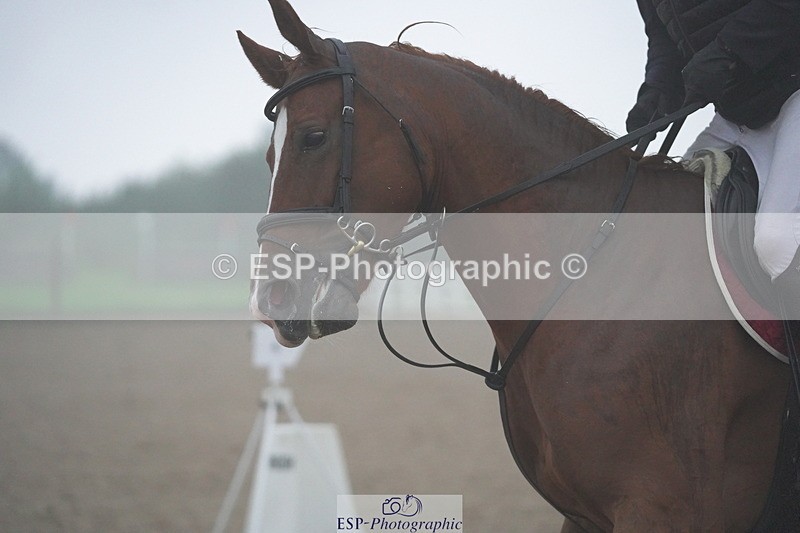 231017A-091226-05878 - Cls 25 National 1.30m