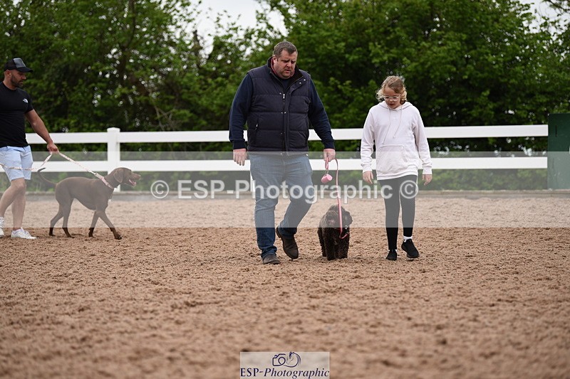 240518A-122314-01139 - Cls 4 Best Crossbred