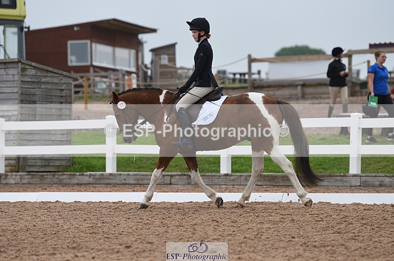 230708A-112422-01571 - Prelim 7