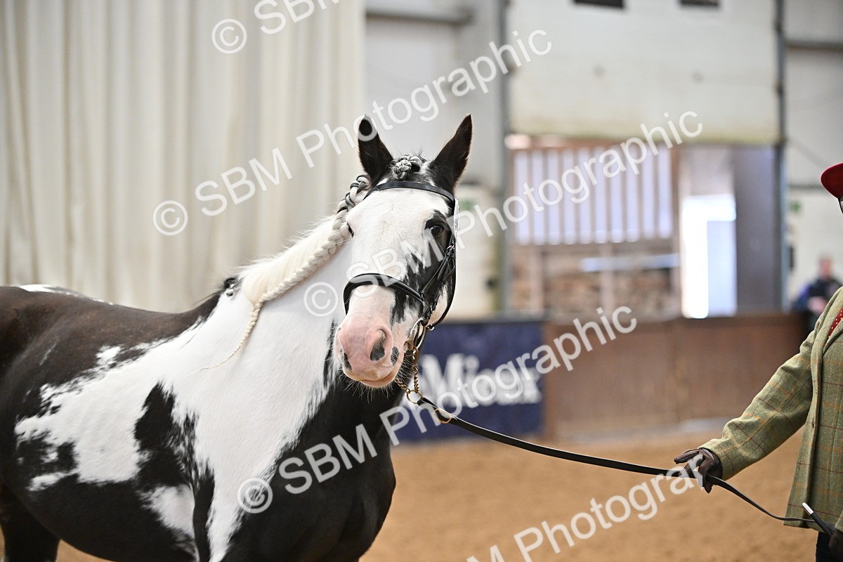 SBM_000022 - Class 1 - In Hand Cob