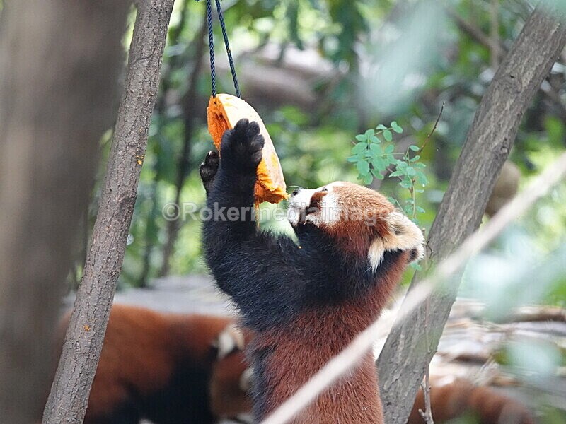 CHINA__0096 - China 2019