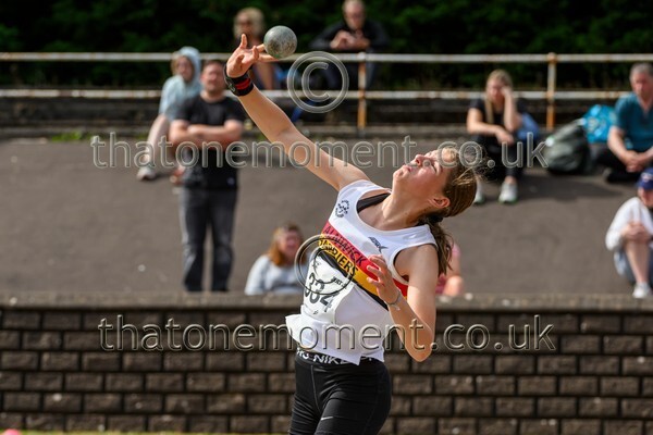 Sen25SUN-928104 - Field Female Set Two