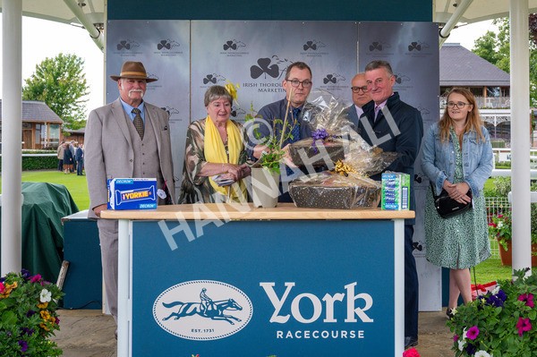 140624-Race 5-Invisible Friend-3888 - Race 6 4.45pm Irish Thoroughbred Marketing Handicap