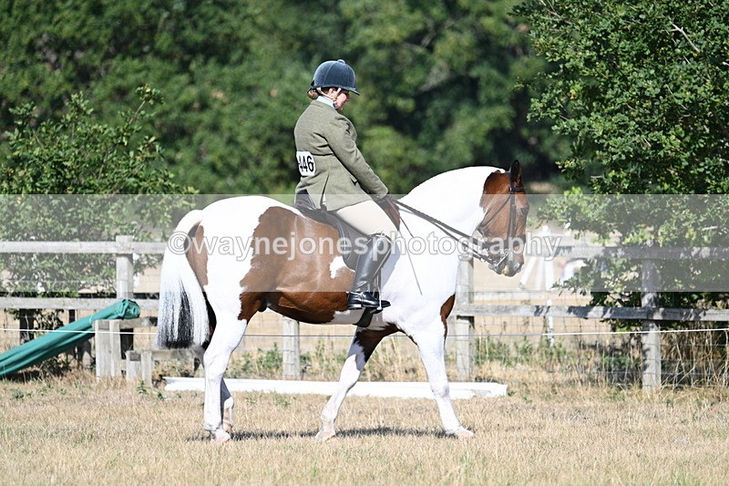 WJ7_3107 - Class 8 Ridden Tack & Turnout