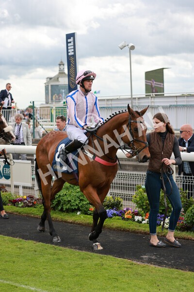 yr21052022r3-3 - Race 3: 3:30pm William Hill Best Odds Guaranteed Stakes