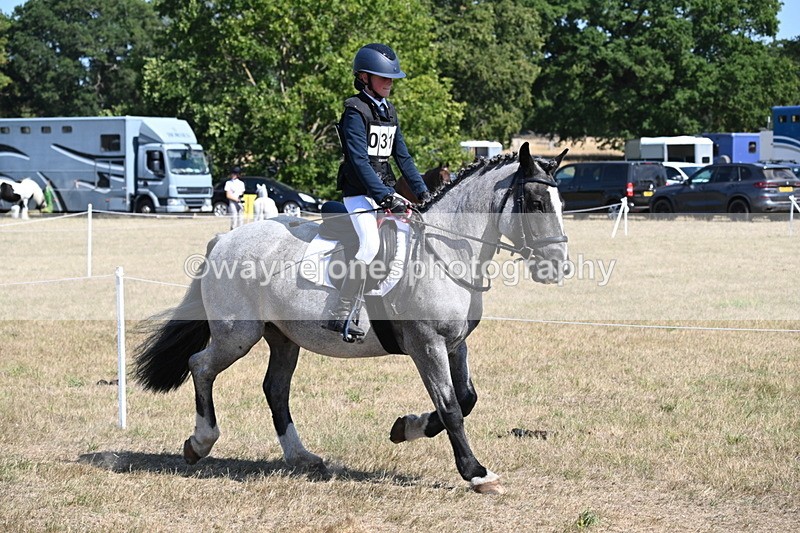 WJ6_9199 - Championship Classes 33-38