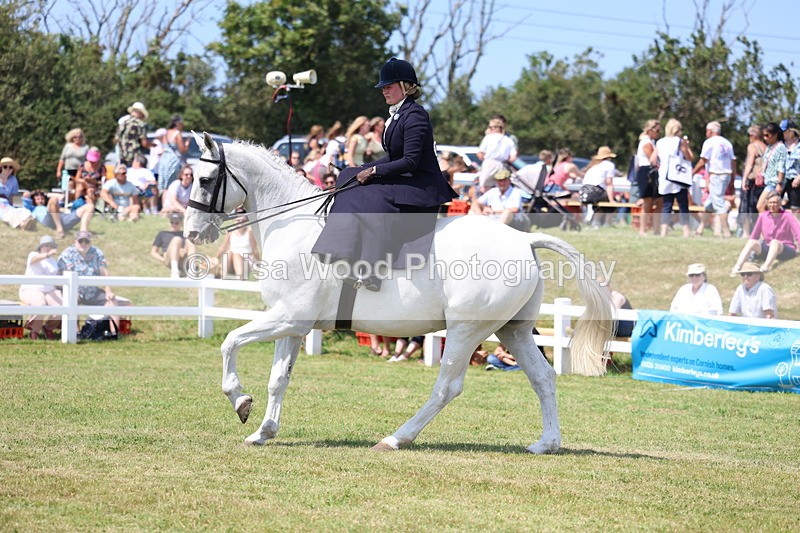 3E7A9660 - Class 13: Side Saddle