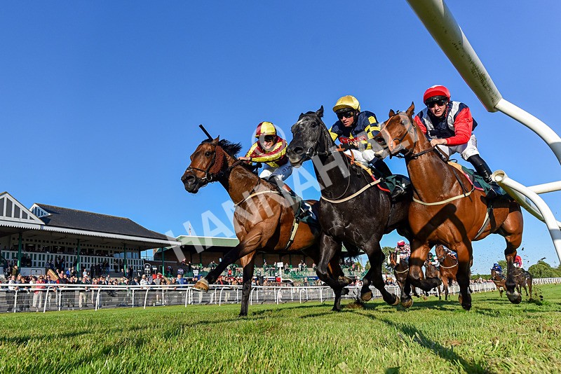 300525-Race 4-Albegone-3670 - Race 4