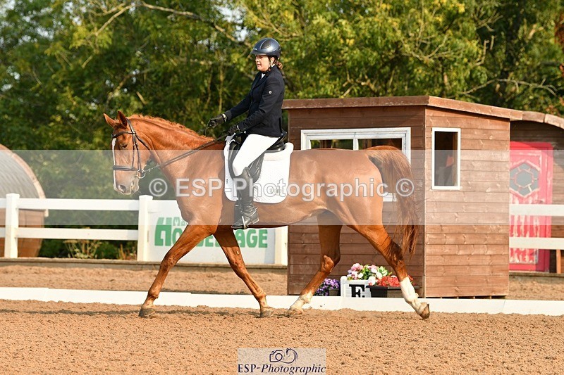 250817-085816-06702 - 080-Elizabeth.StoneZiggy