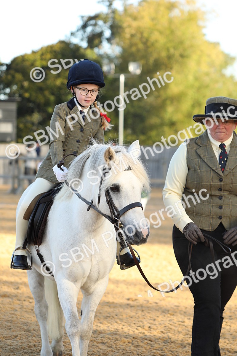 SBM_33606 - D26 - Starers - Lead Rein