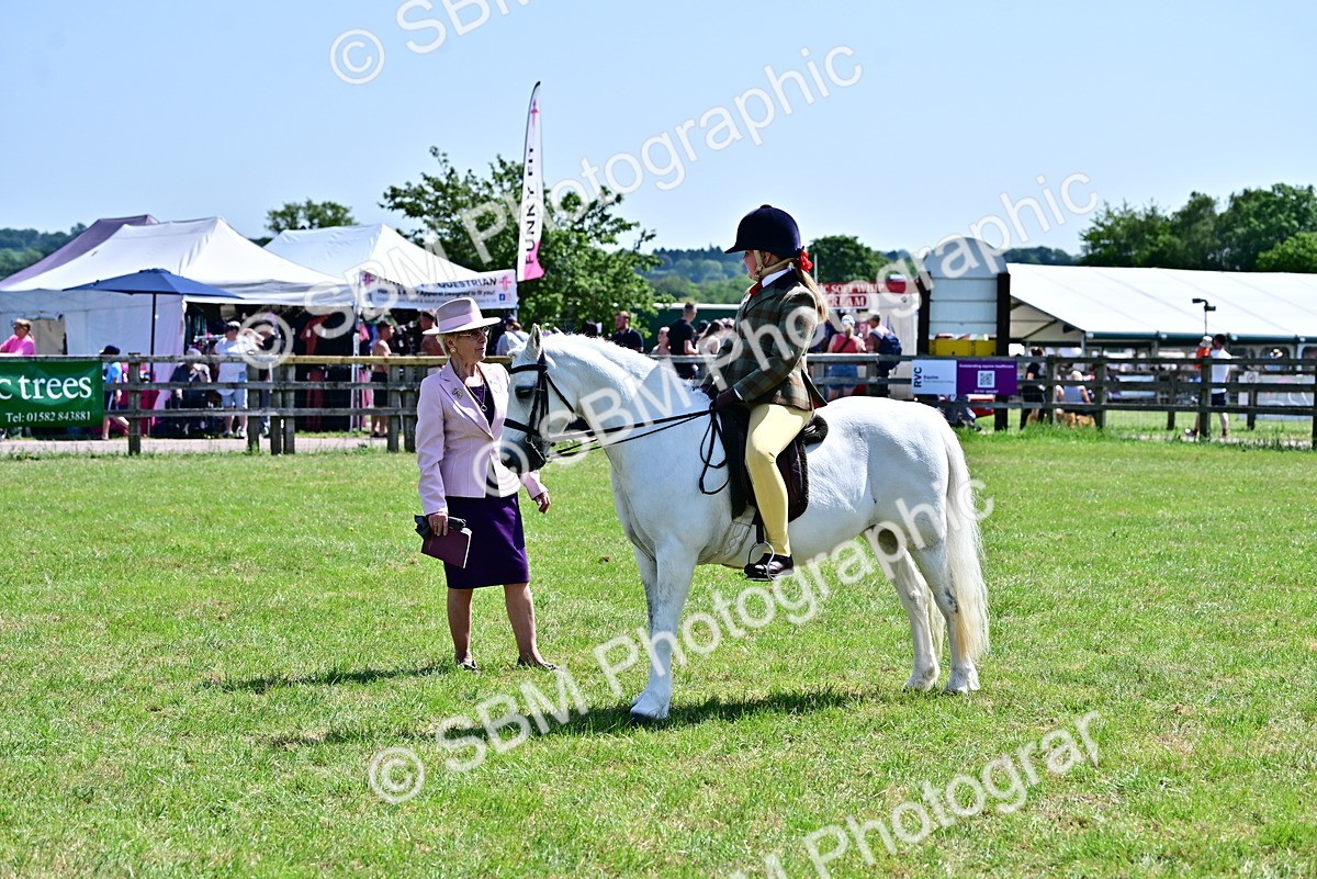 SBM_13951 - Class 95-97 - BSPS LHS Performance Ponies