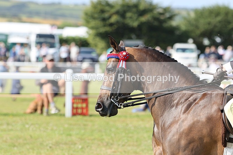 JPP_0737 - Class 16: Cornish Combination Young Rider