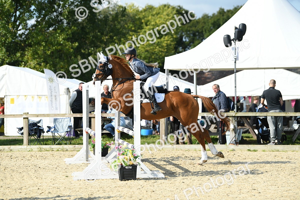 SBM_61731 - j25 - Junior Horse 80cm Championship