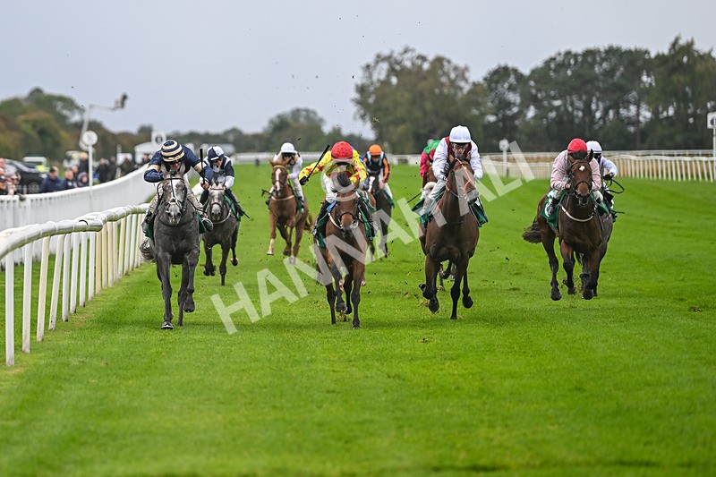 150925-Race 2-Rum Therapy-2368 - Race 2