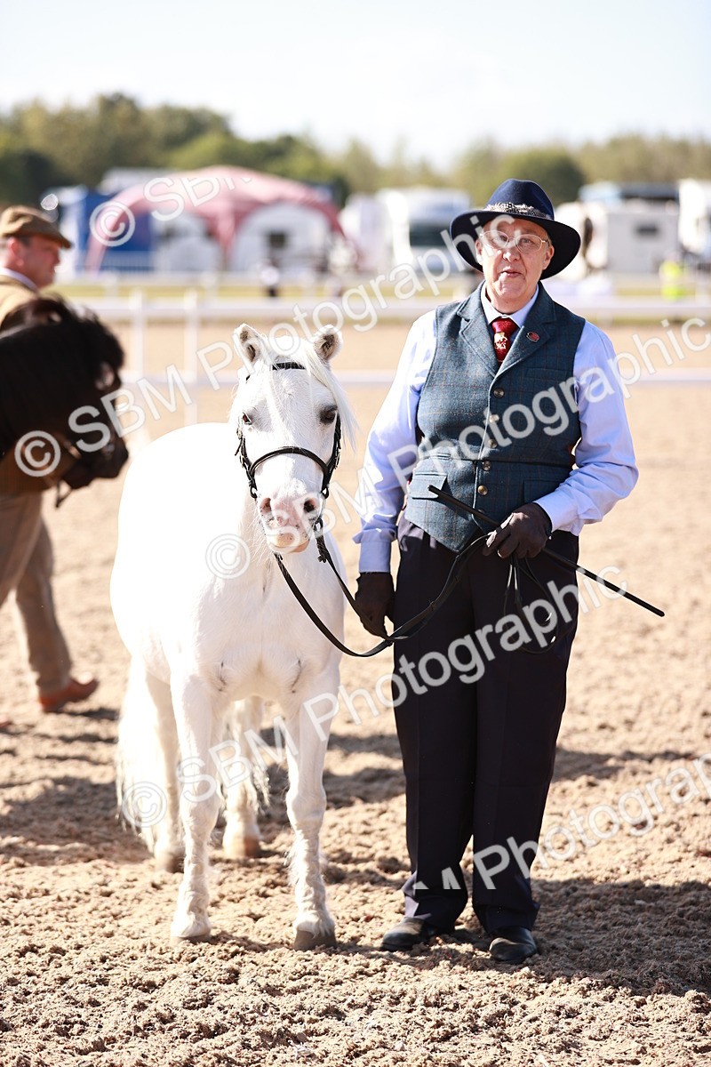 SBM_22821 - Class 705 - IH Combination 65+