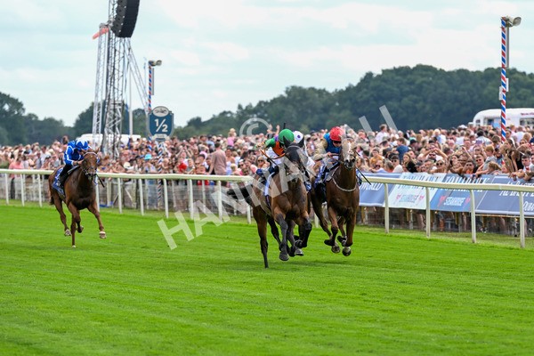280625-Race 2-Quinault-0125 - Race 2 2.25pm Al Basti Equiworld Dubai Criterion Stakes