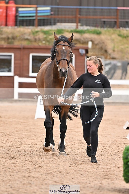 250716-152631-01947 - Trot Up 2.30 to 3.30