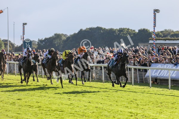 141023-Race 5-Certain Lad-0524 - Race 5 3.35pm Coral Racing Bet Bundles Handicap