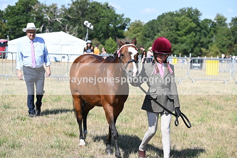 WJ6_4747 - Class 17 Mountain & Moorland
