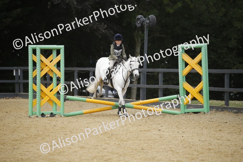 20250622-4737 - 50cm