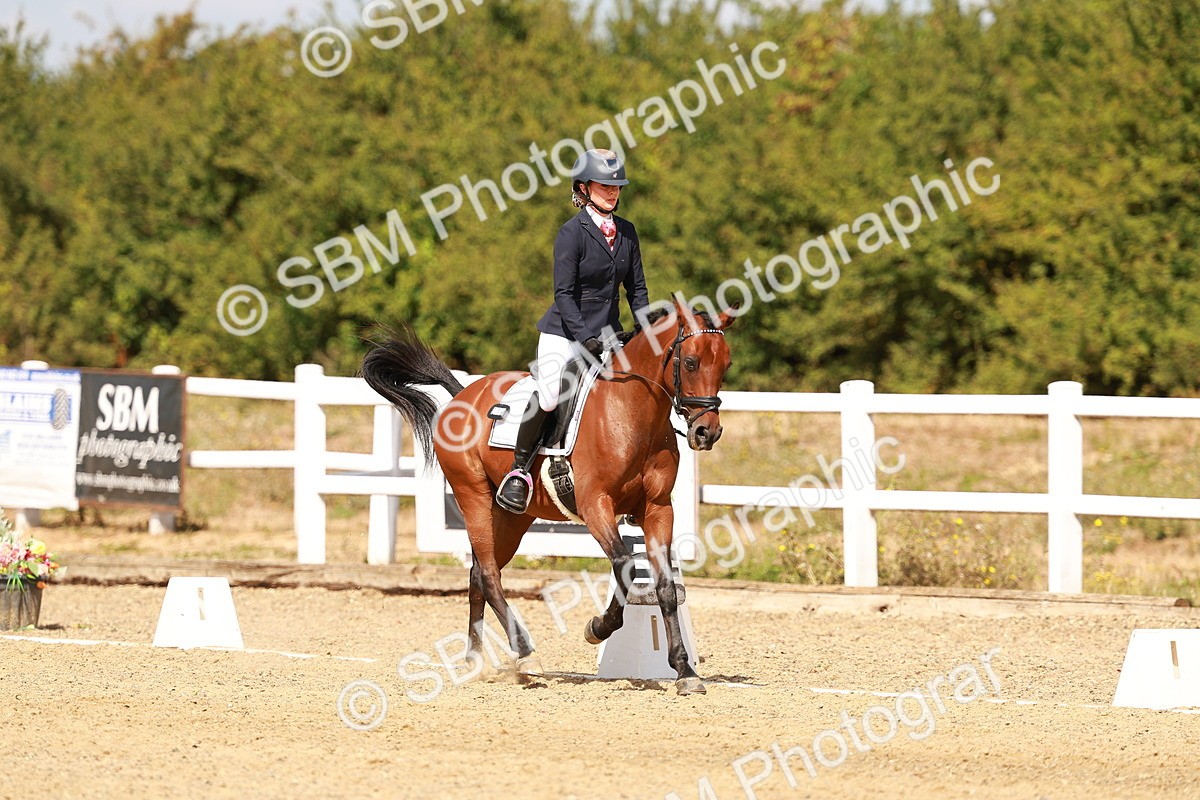 SBM_018484 - Class 9 - N5 Bronze 11.57.13.07